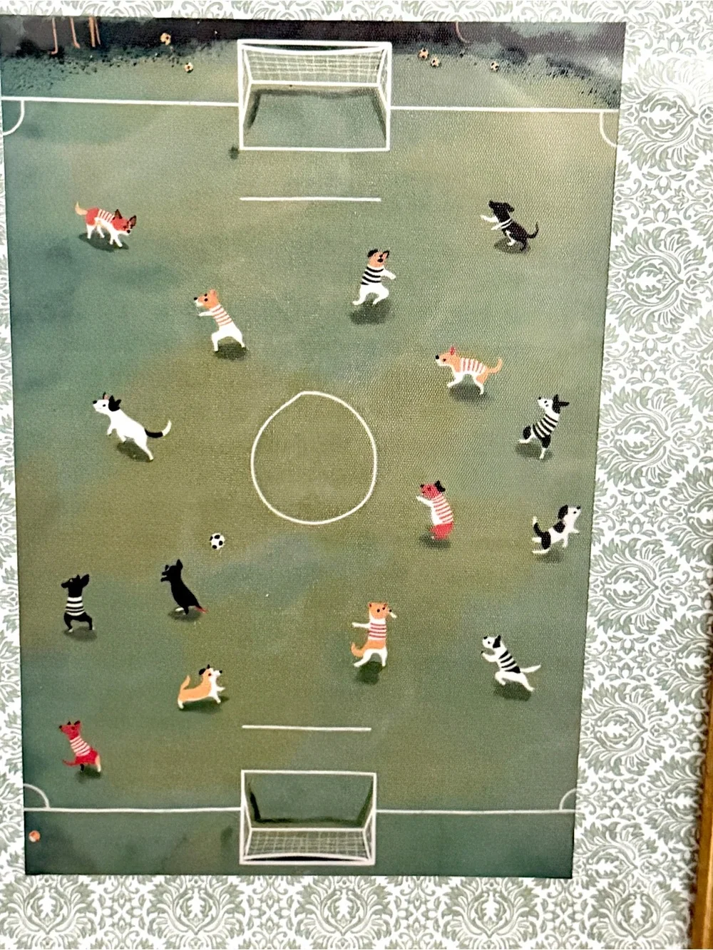 N/A soccer dog